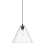 Innovations Lighting Crown Point 12" Wide Pendant Matte Black / Seedy