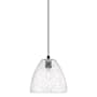 Innovations Lighting Crown Point 9" Wide Mini Pendant Matte Black / Seedy
