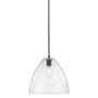 Innovations Lighting Crown Point 12" Wide Pendant Matte Black / Seedy