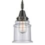 Innovations Lighting Canton 6" Wide Mini Pendant with Clear, Seedy Glass Shade Matte Black