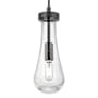 Innovations Lighting Owego 11" Tall Mini Pendant with Clear, Seedy Glass Shade Matte Black
