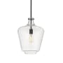 Innovations Lighting Norwalk 12" Wide Pendant Matte Black / Seedy