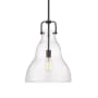 Innovations Lighting Haverhill 14" Wide Pendant Matte Black / Seedy