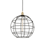 Innovations Lighting Lake Placid 16" Wide Globe Cage Pendant with Shade Satin Gold / Matte Black