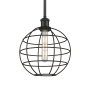 Innovations Lighting Lake Placid 10" Wide Cage Pendant Matte Black / Matte Black