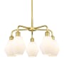 Innovations Lighting Cindyrella 5 Light 24" Wide Chandelier Satin Gold / Cased Matte White