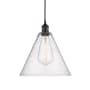 Innovations Lighting Edison 12" Wide Pendant Oil Rubbed Bronze / Seedy