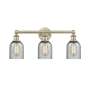 Innovations Lighting Caledonia 3 Light 23" Wide Vanity Light Antique Brass / Charcoal