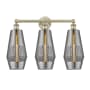 Innovations Lighting Windham 3 Light 25" Wide Vanity Light Antique Brass / Smoked
