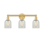 Innovations Lighting Caledonia 3 Light 23" Wide Vanity Light Satin Gold / Mouchette