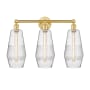 Innovations Lighting Windham 3 Light 25" Wide Vanity Light Satin Gold / Seedy