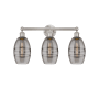 Innovations Lighting Vaz 3 Light 24" Wide Vanity Light Brushed Satin Nickel / Light Smoke