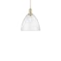 Innovations Lighting Bristol 12" Wide Pendant Champagne Bronze / Seedy