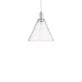 Innovations Lighting Berkshire Glass 12" Wide Pendant Polished Nickel / Seedy