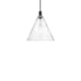 Innovations Lighting Berkshire Glass 16" Wide Pendant Matte Black / Seedy