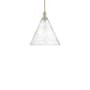 Innovations Lighting Berkshire Glass 16" Wide Pendant Champagne Bronze / Seedy