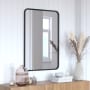 James Allan Byzantium 24" W x 36" H Rectangular Metal Framed Bathroom Mirror Matte Black