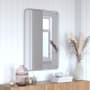 James Allan Byzantium 24" W x 36" H Rectangular Metal Framed Bathroom Mirror Matte Silver