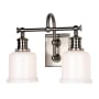 James Allan Elm 2 Light 14" Wide Bathroom Vanity Light Satin Nickel