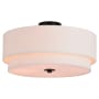James Allan Elias 4 Light 21" Wide Semi-Flush Drum Ceiling Fixture Black