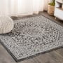 JONATHAN Y Lighting Santa Monica 5-1/4' x 5-1/4' Polypropylene Botanical, Traditional, and Vintage Indoor/Outdoor Area Rug Gray / Black