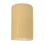 Justice Design Group Ambiance 10" Tall Half Cylinder Closed Top LED ADA Outdoor Wall Sconce Muted Yellow