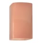Justice Design Group Ambiance 2 Light 14" Tall LED Rectangle Outdoor Wall Sconce with Perforated Holes Gloss Blush