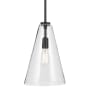 Kichler Everly 11" Wide Pendant Black / Clear