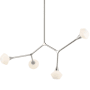 Kichler Cassius 4 Light 6" Wide Chandelier Polished Nickel