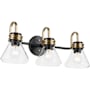 Kichler Farum 3 Light 26" Wide Vanity Light with Clear Glass Shades Black