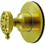 Kingston Brass Wendell Single Handle 6 Function Diverter Valve Trim Brushed Brass