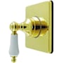 Kingston Brass Restoration Single Handle 6 Function Diverter Valve Trim Polished Brass