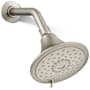 Vibrant Brushed Nickel