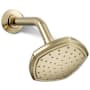 Kohler Occasion Single-Function 2.5 GPM Showerhead Vibrant French Gold