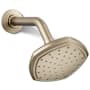 Kohler Occasion Single-Function 2.5 GPM Showerhead Vibrant Brushed Bronze