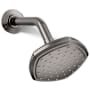 Kohler Occasion Single-Function 2.5 GPM Showerhead Vibrant Titanium