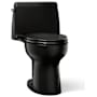 Kohler Santa Rosa One-Piece Compact Elongated 1.28 GPF Toilet with Revolution 360 Swirl Flushing Technology Black Black