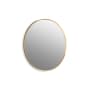 Kohler Essential 36-1/8" W x 36" H Transitional Circular Metal Framed Bathroom Wall Mirror Moderne Brushed Gold