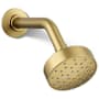 Kohler Awaken G90 1.75 GPM Single Function Shower Head Vibrant Brushed Moderne Brass