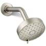 Vibrant Brushed Nickel