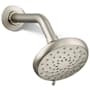 Vibrant Brushed Nickel