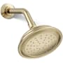 Kohler Artifacts 2.5 GPM Single Function Shower Head with Katalyst Air-Induction Technology Vibrant French Gold