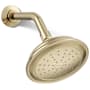 Kohler Artifacts 2.5 GPM Single Function Shower Head with Katalyst Air-Induction Technology Vibrant French Gold
