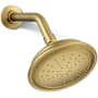 Kohler Artifacts 1.75 GPM Single Function Shower Head with MasterClean Sprayface and Katalyst Air-Induction Technology Vibrant Brushed Moderne Brass