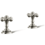 Vibrant Polished Nickel
