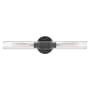 Lark Shea 2 Light 24" Wide Horizontal Bathroom Vanity Light Black