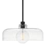 Lark Maisie 15" Wide Pendant with Clear Glass Shade Black