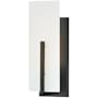 Lark Roman 1 Light 14" Tall Bathroom Sconce with White Etched Glass Shade Black