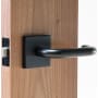 Linnea Marine Grade 316 Stainless Steel LL1 Passage Door Lever Set with Square Rose Satin Black