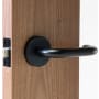 Linnea Marine Grade 316 Stainless Steel LL1 Single Dummy Door Lever with Round Rose Satin Black